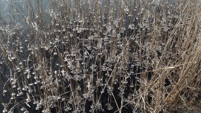 Winter at our doorsteps